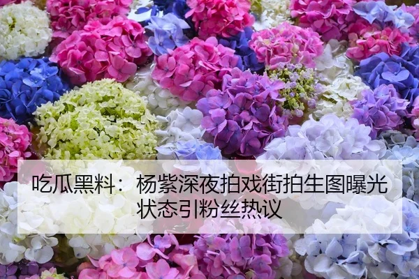 吃瓜黑料：杨紫深夜拍戏街拍生图曝光状态引粉丝热议